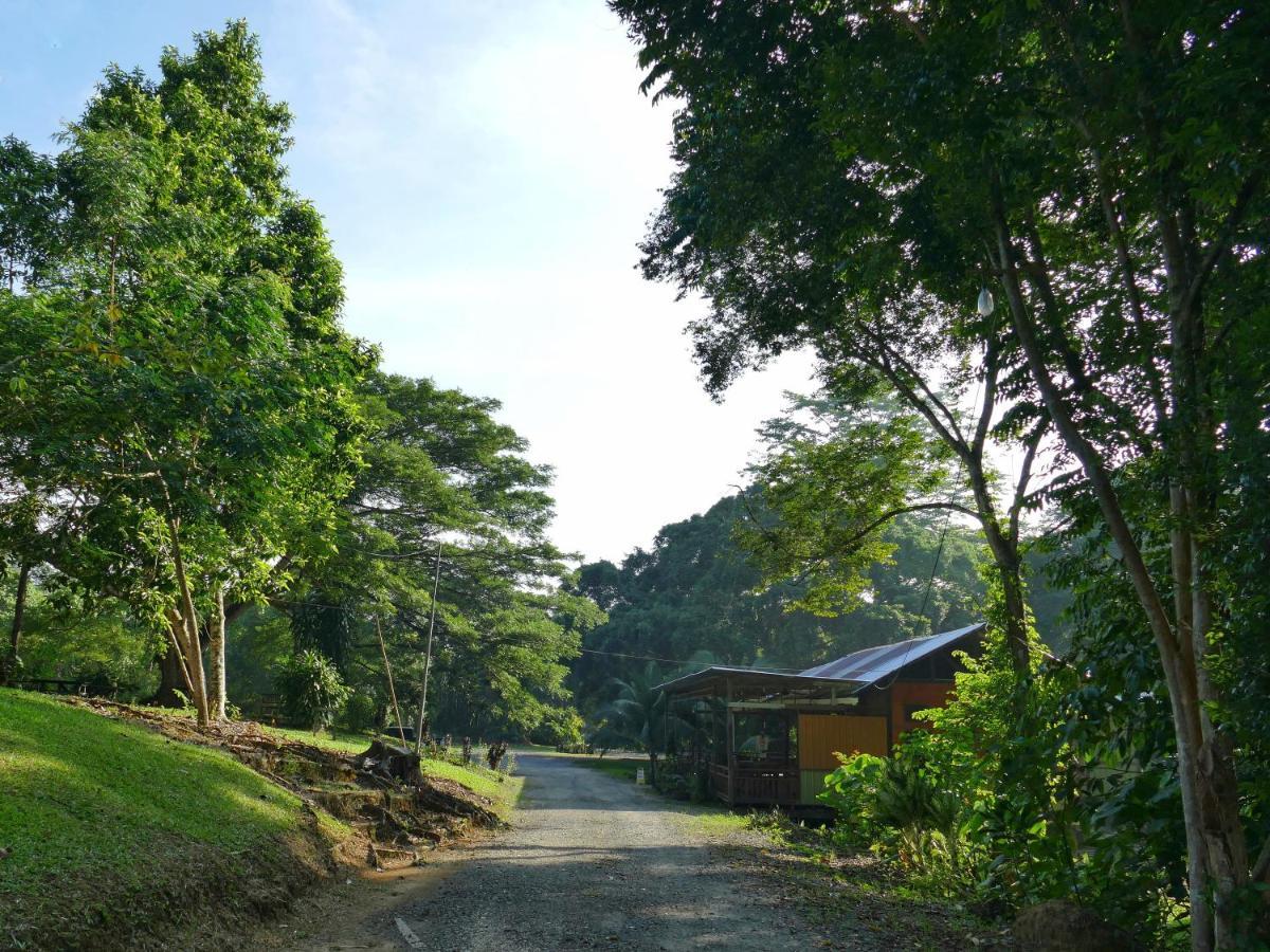Sepilok B&B Exterior foto